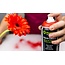 FLORALIFE® Aqua Color Spray – Leuchtgrün 400 ml