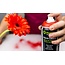 FLORALIFE® Aqua Color Spray – Grün 400 ml