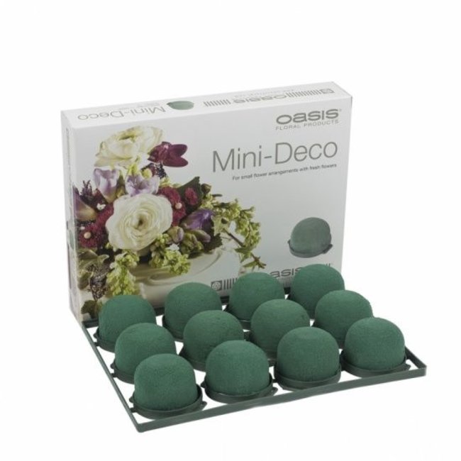 OASIS® Mini Deco | Grün | Ø5x3,5cm | 12 stück