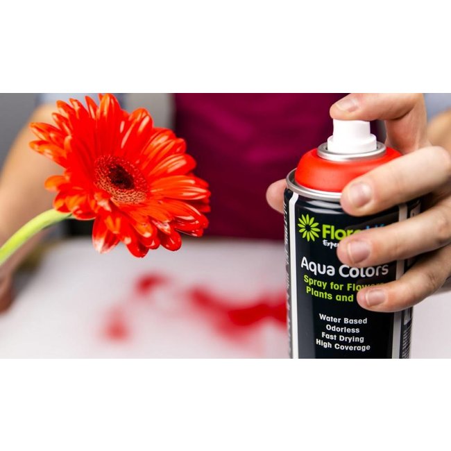 FLORALIFE® Aqua Color Spray – Kirschrot 400 ml