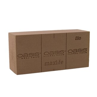 OASIS® FLORAL FOAM BIO Steckschaum Ziegel 23 x 11 x 8 cm