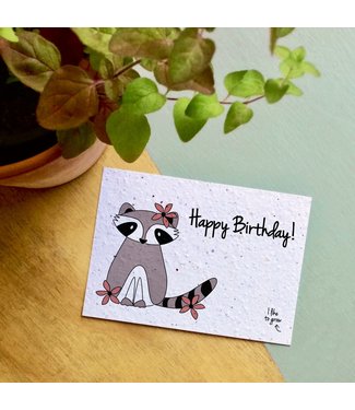 BLOOM Your Message Bloeikaart Raccoon “Happy Birthday”