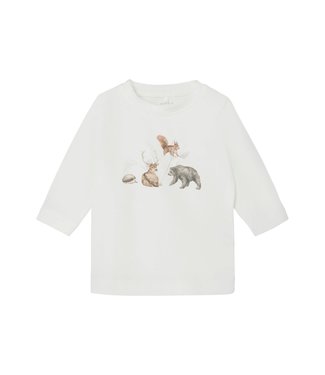 Name It T-Shirt LS Box White Alyssum