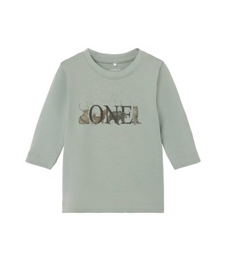 Name It T-Shirt LS Box Iceberg Green