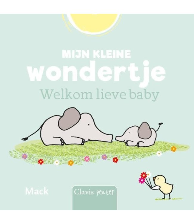 Clavis Mijn kleine wondertje