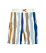 Lässig Zwemluier Board Shorts (Waves Blue Nature)