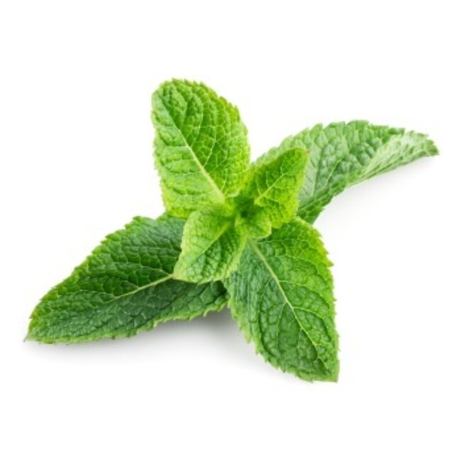 Kölln Crunchy Choco Munt Haver Muesli 500g