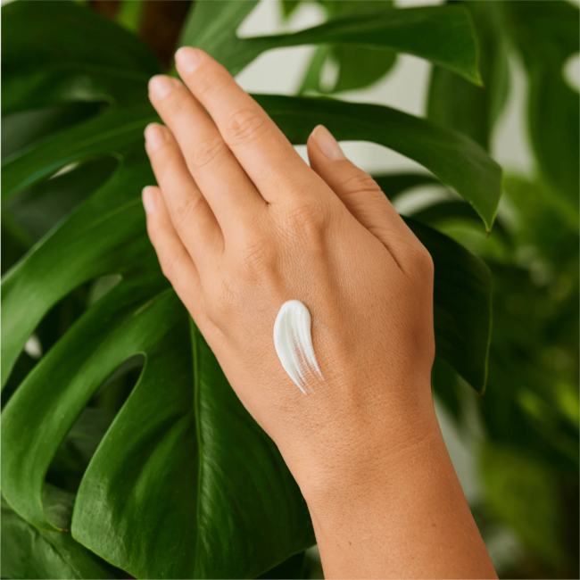 Weleda Handcrème Express Duindoorn 50 ml