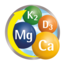 Tetesept Magnesium Calcium Vitamine K + D Tabletten 40 St 73 g