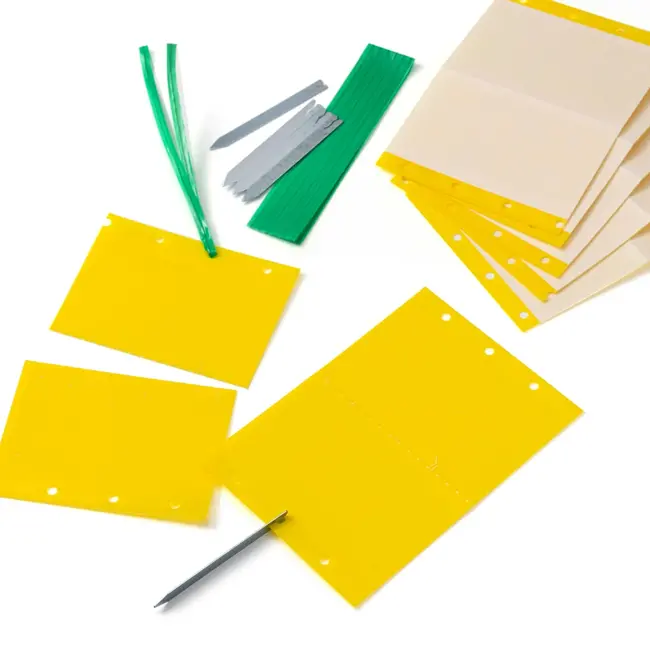 Profissimo Geelvallen 10 St