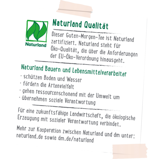 dmBio Kruidenthee Goedemorgen (20 Zakjes) 30 g