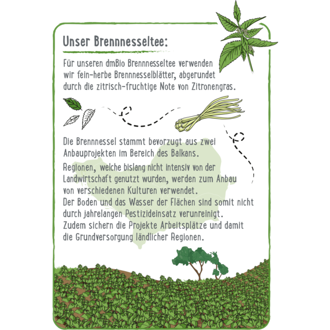 dmBio Kruidenthee Brandnetel (20 Zakjes) 30 g