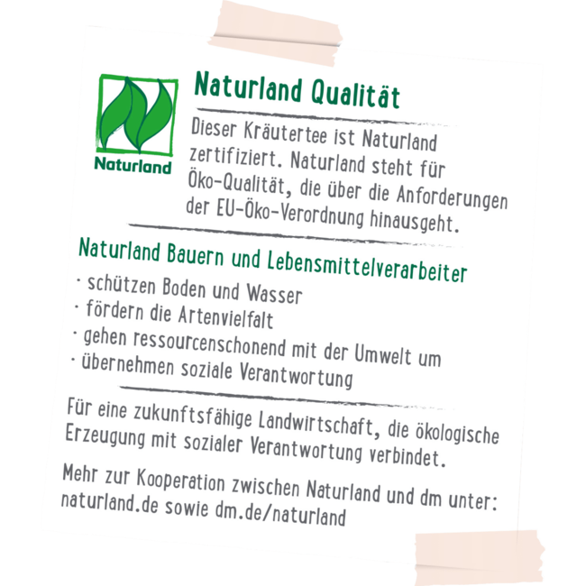 dmBio Kruidenthee Citroengras, Melisse (20 Zakjes) 30 g