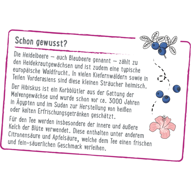 dmBio Fruitthee Bosfruit (20 Zakjes) 50 g