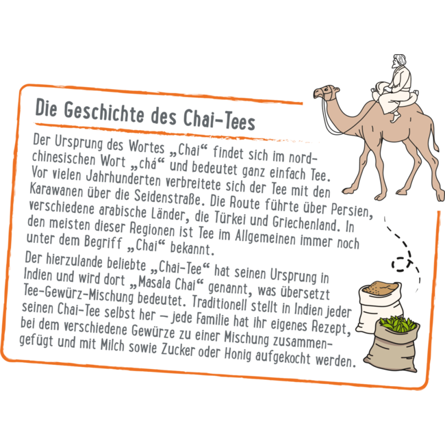 dmBio Kruidenthee Chai Thee Klassiek (20 Zakjes) 40 g