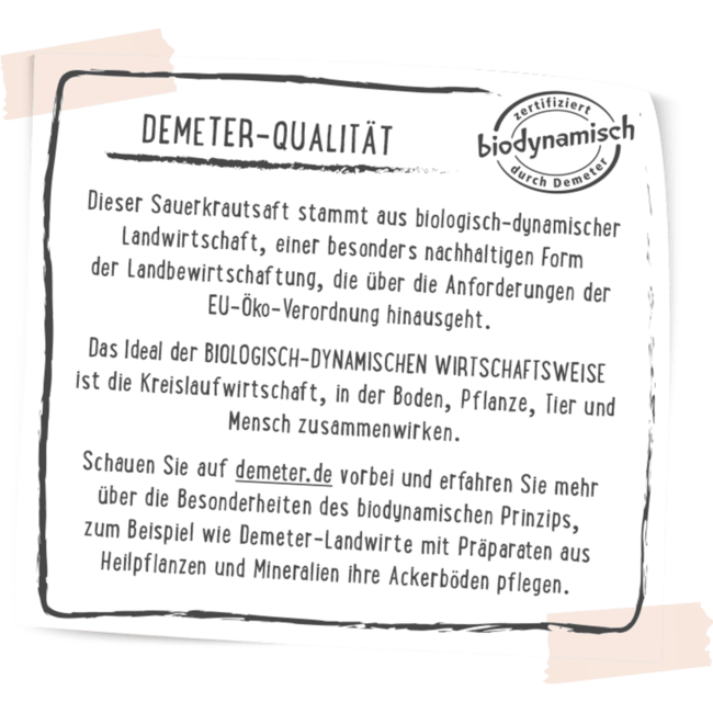 dmBio Direct Sap Zuurkoolsap Verfijnd Met Zeezout 500 ml