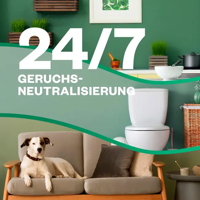 AirWick Luchtverfrisser Geurspray Active Fresh Jasmijnbloesem Starterset 1 St