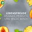 AirWick Luchtverfrisser Aroma-olie Diffuser Levensvreugde Starterset 1 St