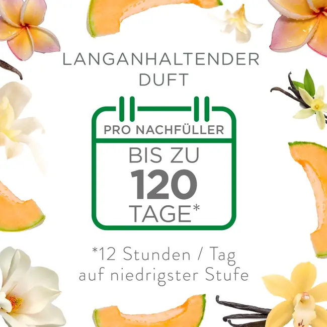 AirWick Luchtverfrisser Geurstekker Starterset Zomerplezier 19 ml