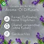 AirWick Luchtverfrisser Aroma-olie Ontspannende Lavendel Navulling 20 ml