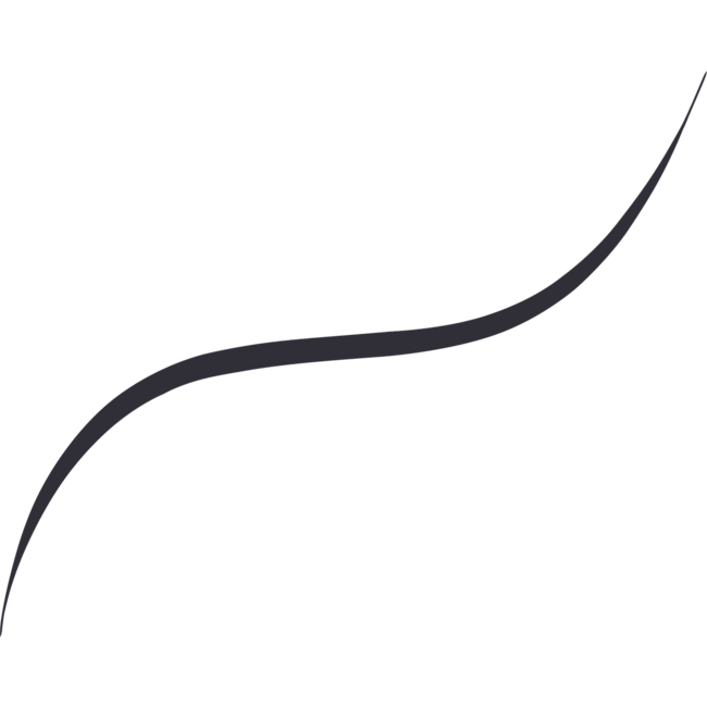 L'ORÉAL PARIS   Eyeliner Infaillible 36H Micro 01 Obsidiaan 0 g