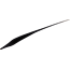 L'ORÉAL PARIS   Eyeliner Perfect Slim 01 Intense Black 1 St