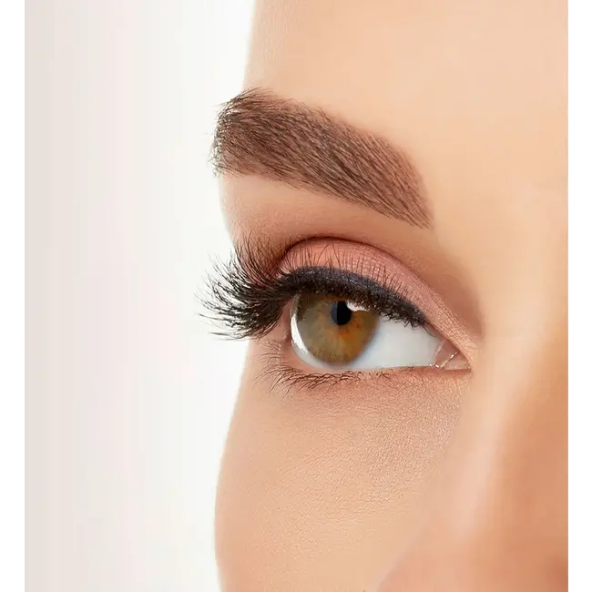 ARDELL Künstliche Wimpern 421 Magnetic Naked (1 Paar) + Eyeliner Liquid Magnetic Black 1 St