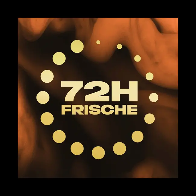 AXE Deospray Copper Santal 150 ml