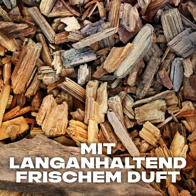 AXE After Shave Alaska 100 ml