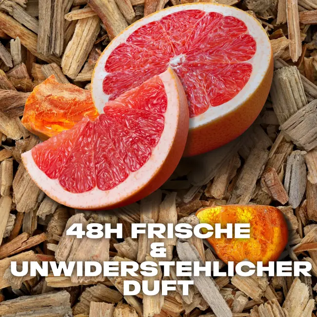 AXE Deospray Alaska 150 ml