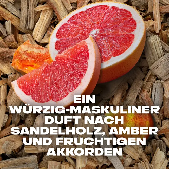 AXE Douchegel Alaska 250 ml