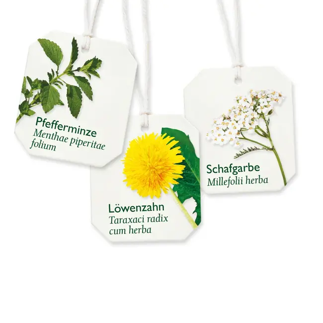 Bad Heilbrunner Medicijnthee Lever & Gal Thee (8 Zakjes) 14 g