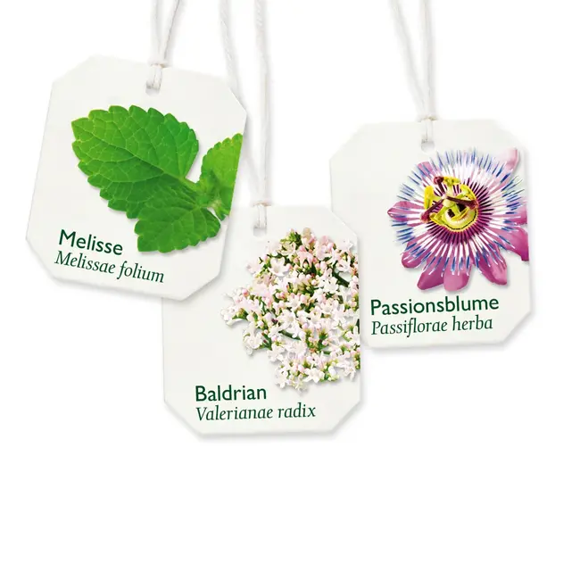 Bad Heilbrunner Medicijnthee Slaap- & Zenuwthee (8 Zakjes) 14 g