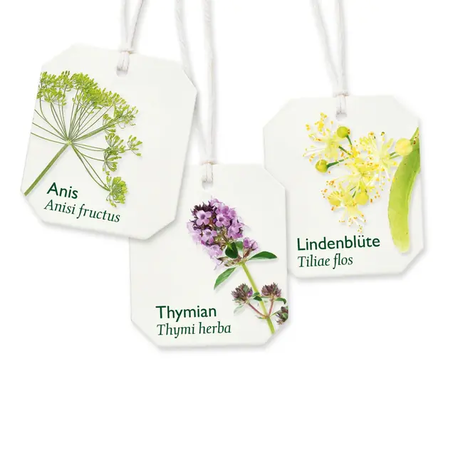 Bad Heilbrunner Medicijnthee Hoest & Bronchiale Thee (8 Zakjes) 16 g