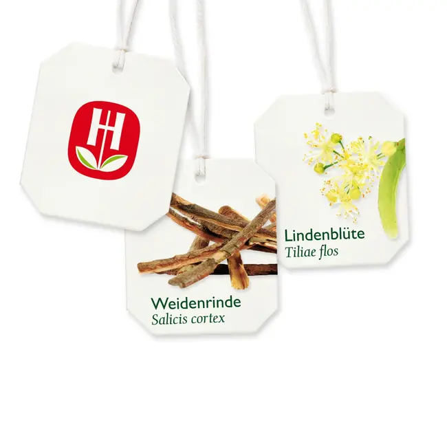 Bad Heilbrunner Medicijnthee Verkoudheidsthee (8 Zakjes) 16 g