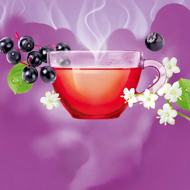 Bad Heilbrunner Vruchtenthee Hete Vlierbes Met Aronia (15 Zakjes) 37.5 g