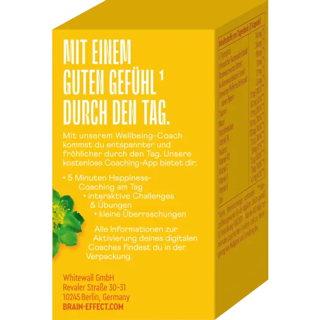 BRAINEFFECT Mood Kapseln 45 Stuks 21.1 g