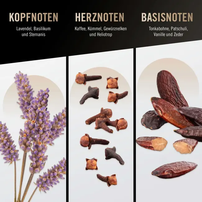 Bruno Banani Man Eau De Toilette 100 ml