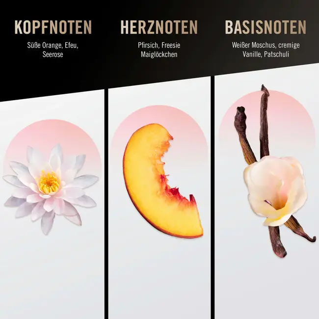 Bruno Banani Vrouw Eau De Parfum 50 ml