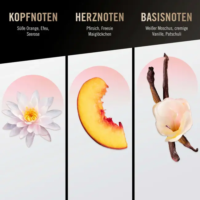 Bruno Banani Vrouwelijke Eau De Toilette 30 ml