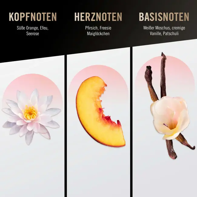 Bruno Banani Vrouwelijke Eau De Toilette 50 ml