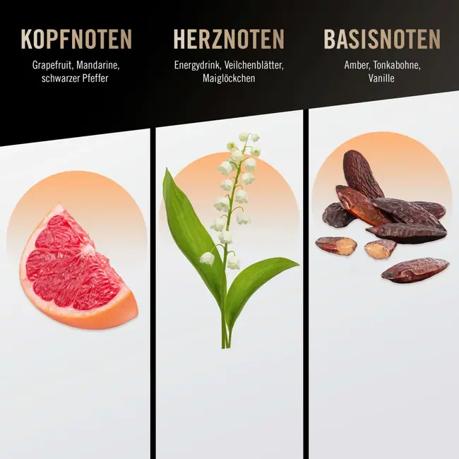 Bruno Banani Absolute Man Eau De Toilette 30 ml