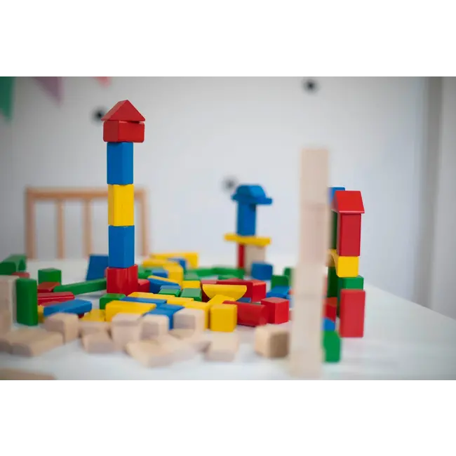 Eichhorn Houten Blokken Kleurrijk, 100 St. 1 St