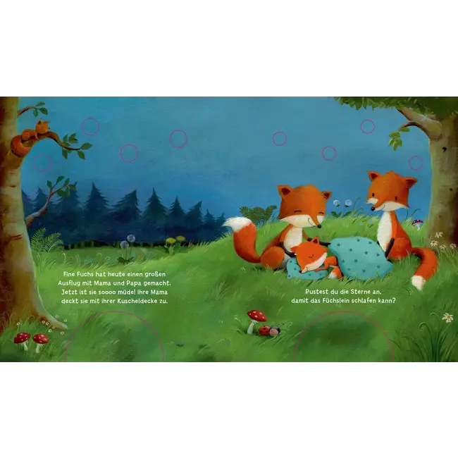 Esslinger Mijn blaaslichtboek: Als sterren schitteren in het donker 1 St