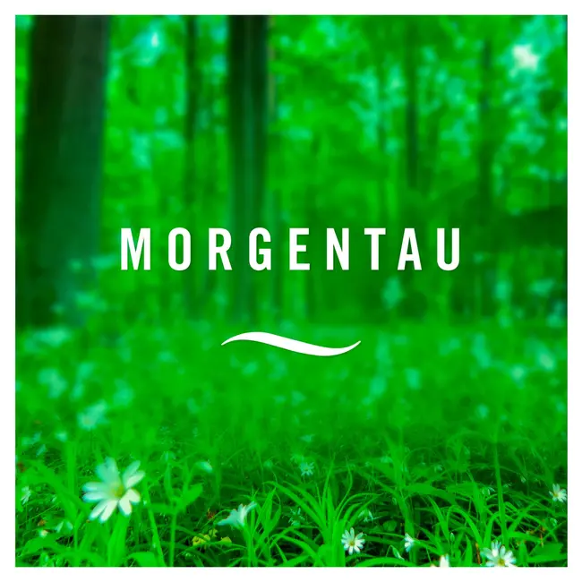 Febreze Luchtverfrisser Extra Sterk Ochtenddauw 300 ml