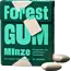 Forest GUM Kauwgom, Munt, Suikervrij (10 Stuks) 20 g