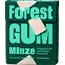 Forest GUM Kauwgom, Munt, Suikervrij (10 Stuks) 20 g