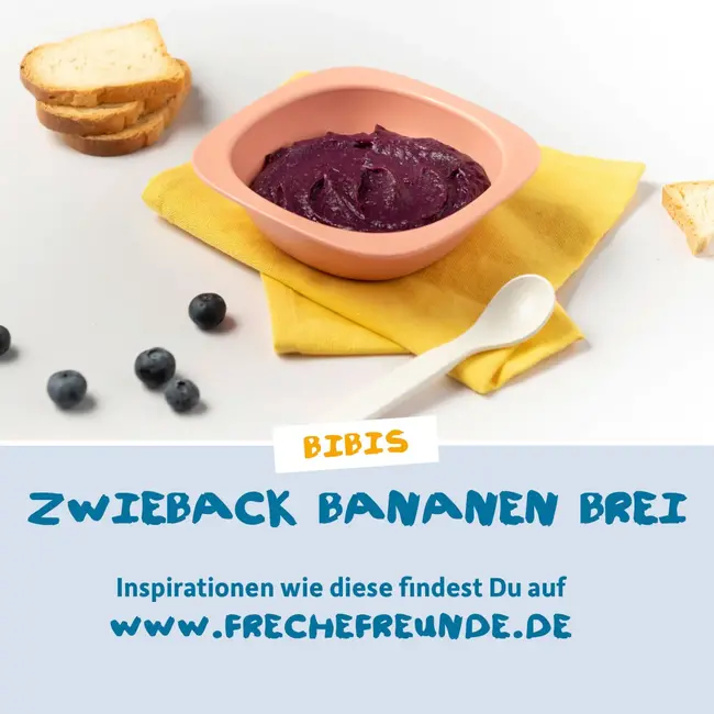 Freche Freunde Avondpap Appel, Kaneel Met Haver, Vanaf De 8e Maand 120 g