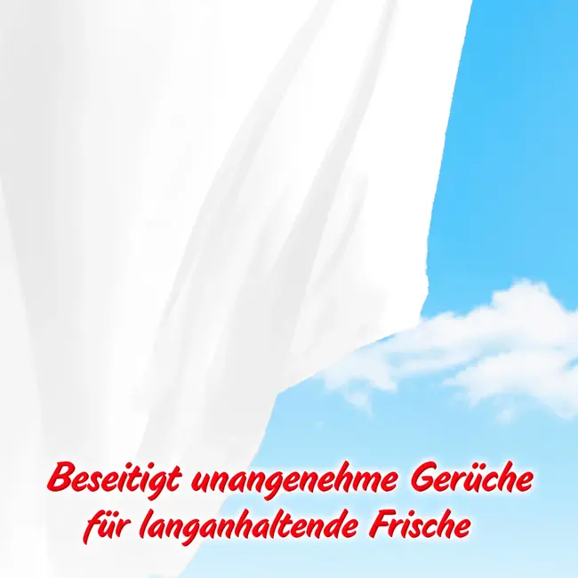 HOFFMANNS Wasmiddel Gordijnen 11 Wl