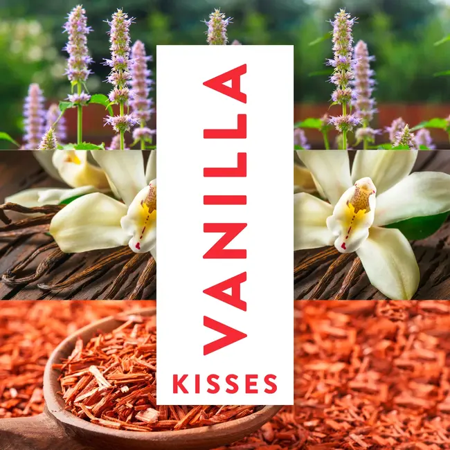 Impulse Deospray Vanilla Kisses 75 ml